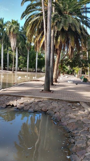 Jardín Botánico Benjamin Francis Johnston